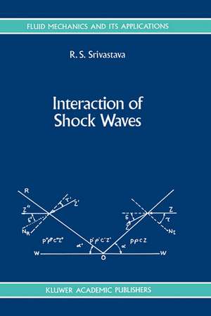 Interaction of Shock Waves de R. S. Srivastava