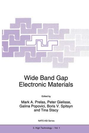 Wide Band Gap Electronic Materials de Mark A. Prelas