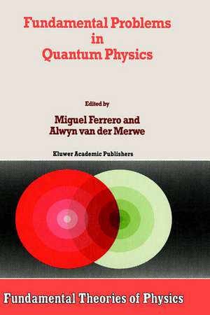 Fundamental Problems in Quantum Physics de M. Ferrero