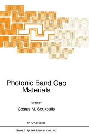 Microcavities and Photonic Bandgaps: Physics and Applications de J. G. Rarity