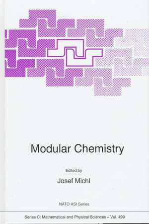 Modular Chemistry de Josef Michl