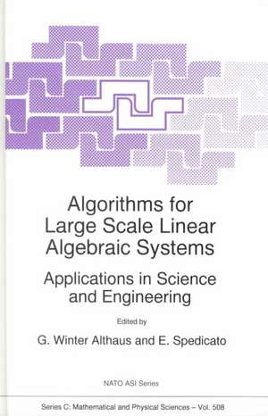 Algorithms for Large Scale Linear Algebraic Systems:: Applications in Science and Engineering de Gabriel Winter Althaus