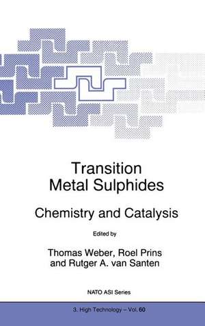 Transition Metal Sulphides: Chemistry and Catalysis de Th. Weber