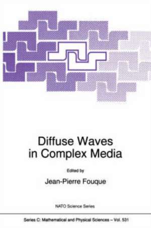 Diffuse Waves in Complex Media de Jean-Pierre Fouque