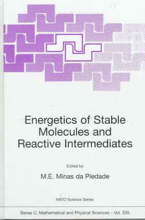 Energetics of Stable Molecules and Reactive Intermediates de M.E. Minas da Piedade