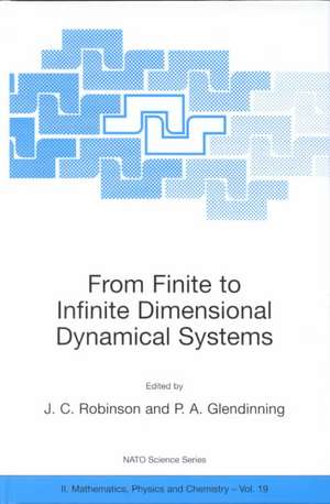 From Finite to Infinite Dimensional Dynamical Systems de James Robinson