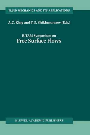 IUTAM Symposium on Free Surface Flows: Proceedings of the IUTAM Symposium held in Birmingham, United Kingdom, 10–14 July 2000 de A. C. King