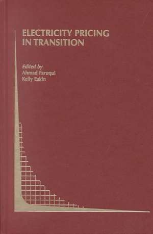 Electricity Pricing in Transition de Ahmad Faruqui