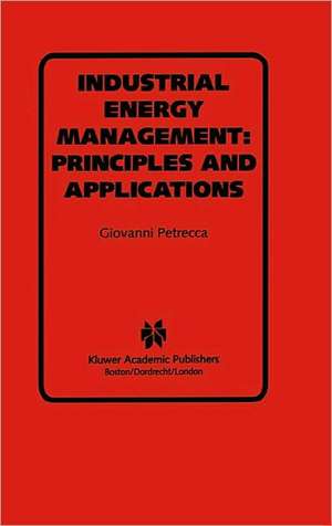 Industrial Energy Management: Principles and Applications: Principles and Applications de Giovanni Petrecca