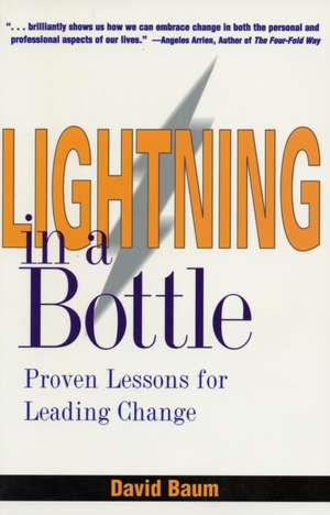 Lightning in a Bottle de David Baum