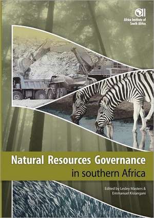 Natural Resources Governance in Southern Africa de Mengsteab Tesfayohannes