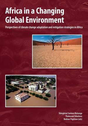 Africa in a Changing Global Environment. Perspectives of Climate Change Adaptation and Mitigation Strategies in Africa de Shingirirai Savious Mutanga