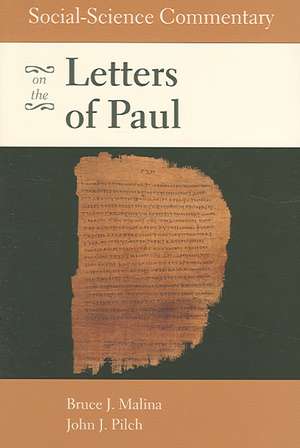 Social-Science Commentary on the Letters of Paul: The Politics of Gender in African American Churches de STD Malina, Bruce J.