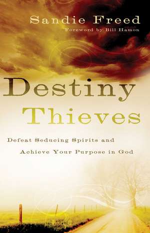 Destiny Thieves – Defeat Seducing Spirits and Achieve Your Purpose in God de Sandie Freed