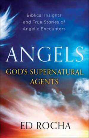 AngelsGod′s Supernatural Agents de E Rocha