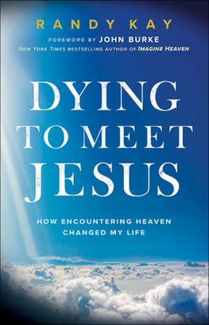 Dying to Meet Jesus – How Encountering Heaven Changed My Life de Randy Kay