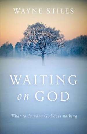 Waiting on God – What to Do When God Does Nothing de Wayne Stiles