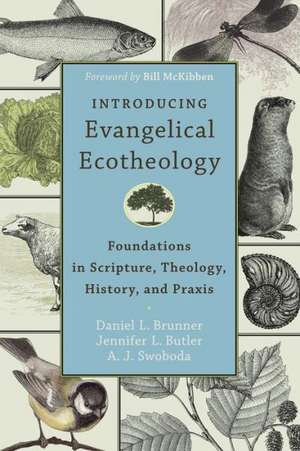 Introducing Evangelical Ecotheology – Foundations in Scripture, Theology, History, and Praxis de Daniel L. Brunner