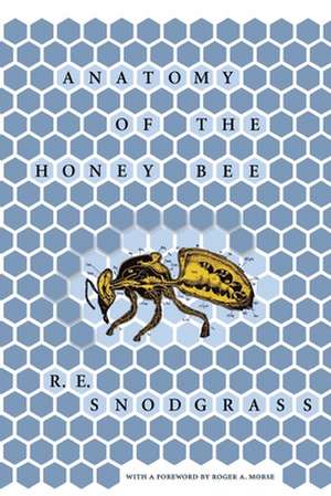 Anatomy of the Honey Bee de R. E. Snodgrass