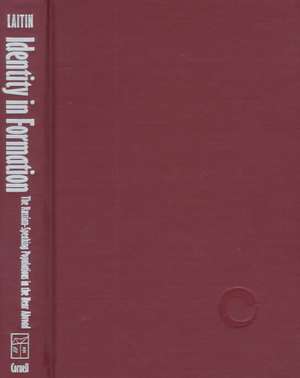 Identity in Formation – The Russian–Speaking Populations in the New Abroad de David D. Laitin