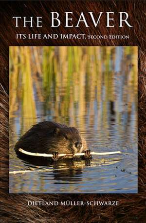 The Beaver – Natural History of a Wetlands Engineer de Dietland Müller–schwarze