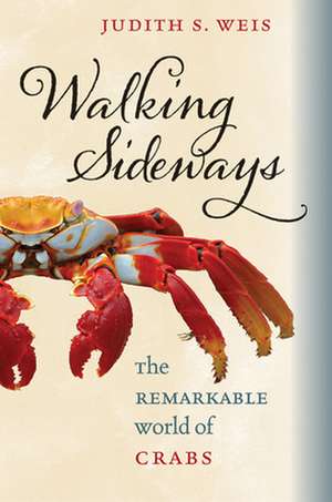 Walking Sideways – The Remarkable World of Crabs de Judith S. Weis