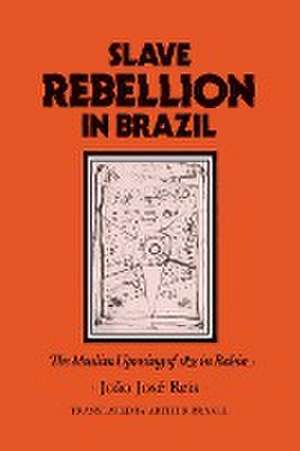 Slave Rebellion in Brazil de Reis