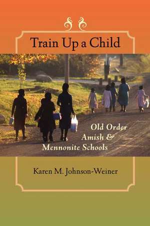 Train Up a Child – Old Order Amish and Mennonite Schools de Karen M Johnson–weiner