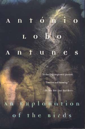 An Explanation of the Birds de Antonio Lobo Antunes