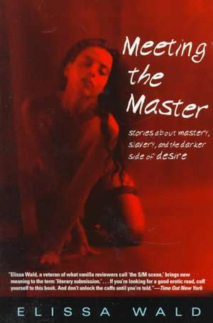 Meeting the Master: Stories about Mastery, Slavery and the Darker Side of Desire de Wald