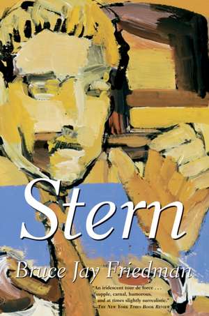 Stern de Bruce Jay Friedman