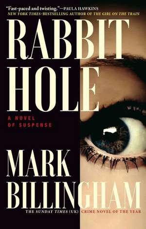 Rabbit Hole de Mark Billingham