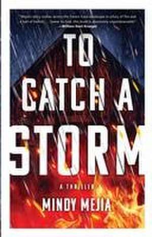 To Catch a Storm de Mindy Mejia