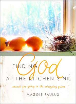 Finding God at the Kitchen Sink: Search for Glory in the Everyday Grime de Maggie Paulus