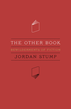 The Other Book: Bewilderments of Fiction de Jordan Stump