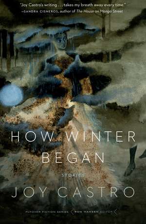 How Winter Began: Stories de Joy Castro