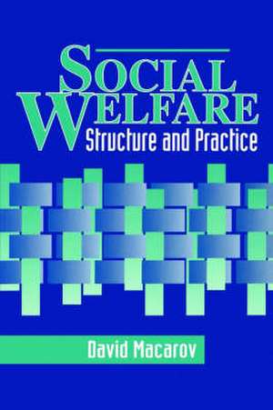 Social Welfare: Structure and Practice de David Macarov