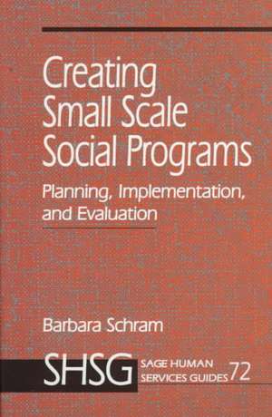 Creating Small Scale Social Programs: Planning, Implementation, and Evaluation de Barbara A. Schram