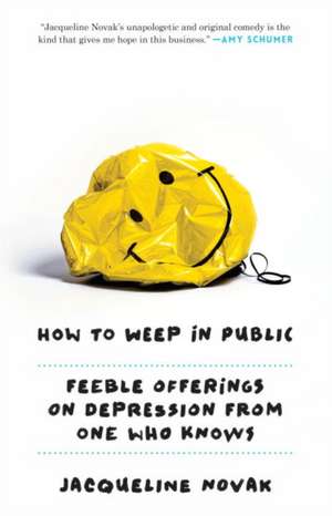 How to Weep in Public: Feeble Offerings on Depression from One Who Knows de Jacqueline Novak