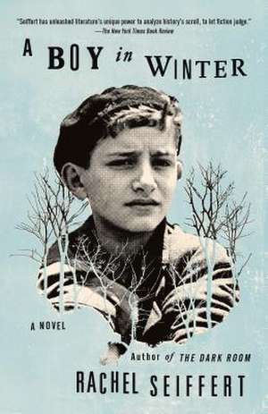 A Boy in Winter de Rachel Seiffert