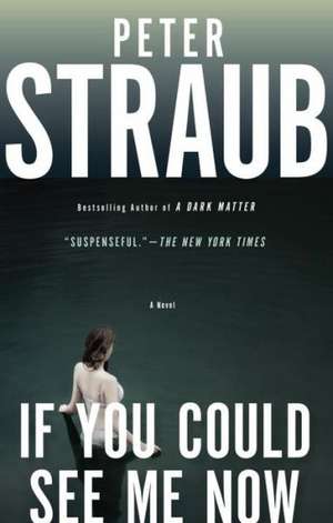 If You Could See Me Now de Peter Straub