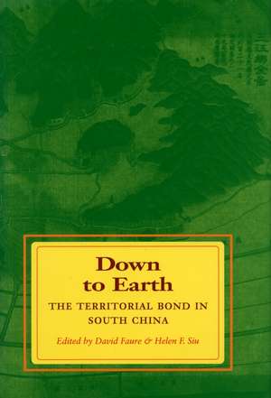 Down to Earth: The Territorial Bond in South China de David Faure