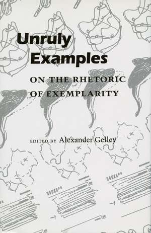 Unruly Examples: On the Rhetoric of Exemplarity de Alexander Gelley