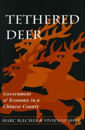 Tethered Deer: Government and Economy in a Chinese County de Marc Blecher