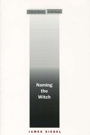 Naming the Witch de James Siegel