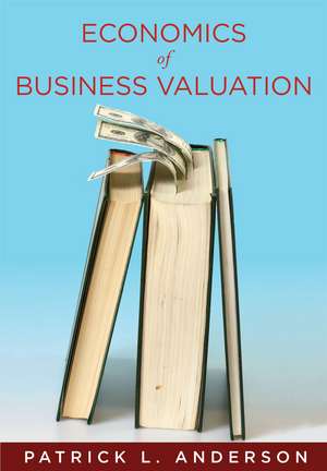 The Economics of Business Valuation: Towards a Value Functional Approach de Patrick Anderson