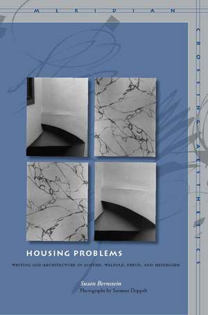 Housing Problems: Writing and Architecture in Goethe, Walpole, Freud, and Heidegger de Susan Bernstein