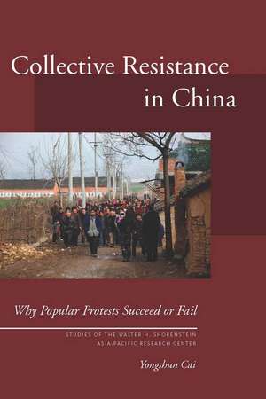 Collective Resistance in China: Why Popular Protests Succeed or Fail de Yongshun Cai