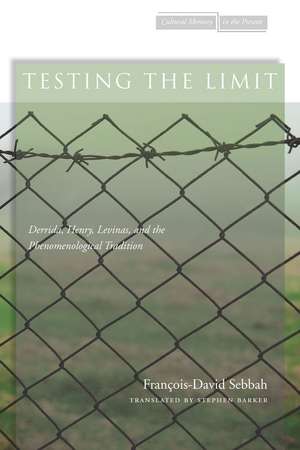 Testing the Limit: Derrida, Henry, Levinas, and the Phenomenological Tradition de François-David Sebbah