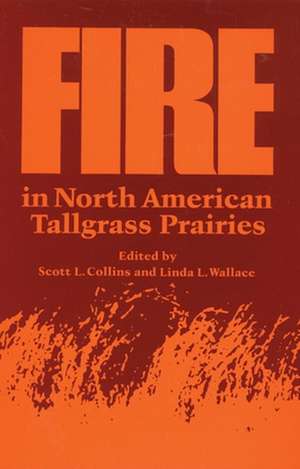 Fire in North American Tallgrass Prairies de Scott Colins